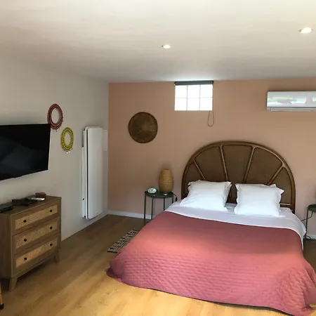 Casa De Patarra Dans Le Maquis Avec Piscine Privee 펜션 *