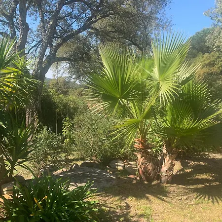 펜션 Casa De Patarra Dans Le Maquis Avec Piscine Privee *
