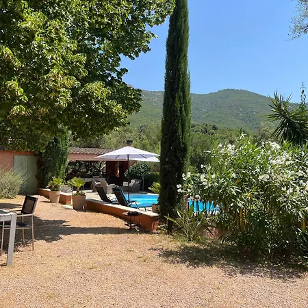 Casa De Patarra Dans Le Maquis Avec Piscine Privee 펜션