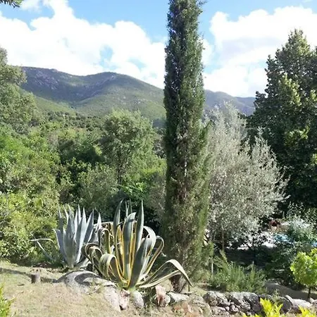 Casa De Patarra Dans Le Maquis Avec Piscine Privee *