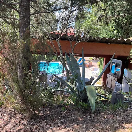 Feriehus Casa De Patarra Dans Le Maquis Avec Piscine Privee