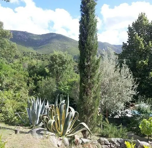 Casa De Patarra Dans Le Maquis Avec Piscine Privee *