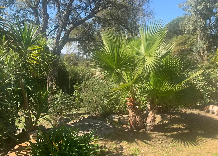 Ferienhaus Casa De Patarra Dans Le Maquis Avec Piscine Privee *